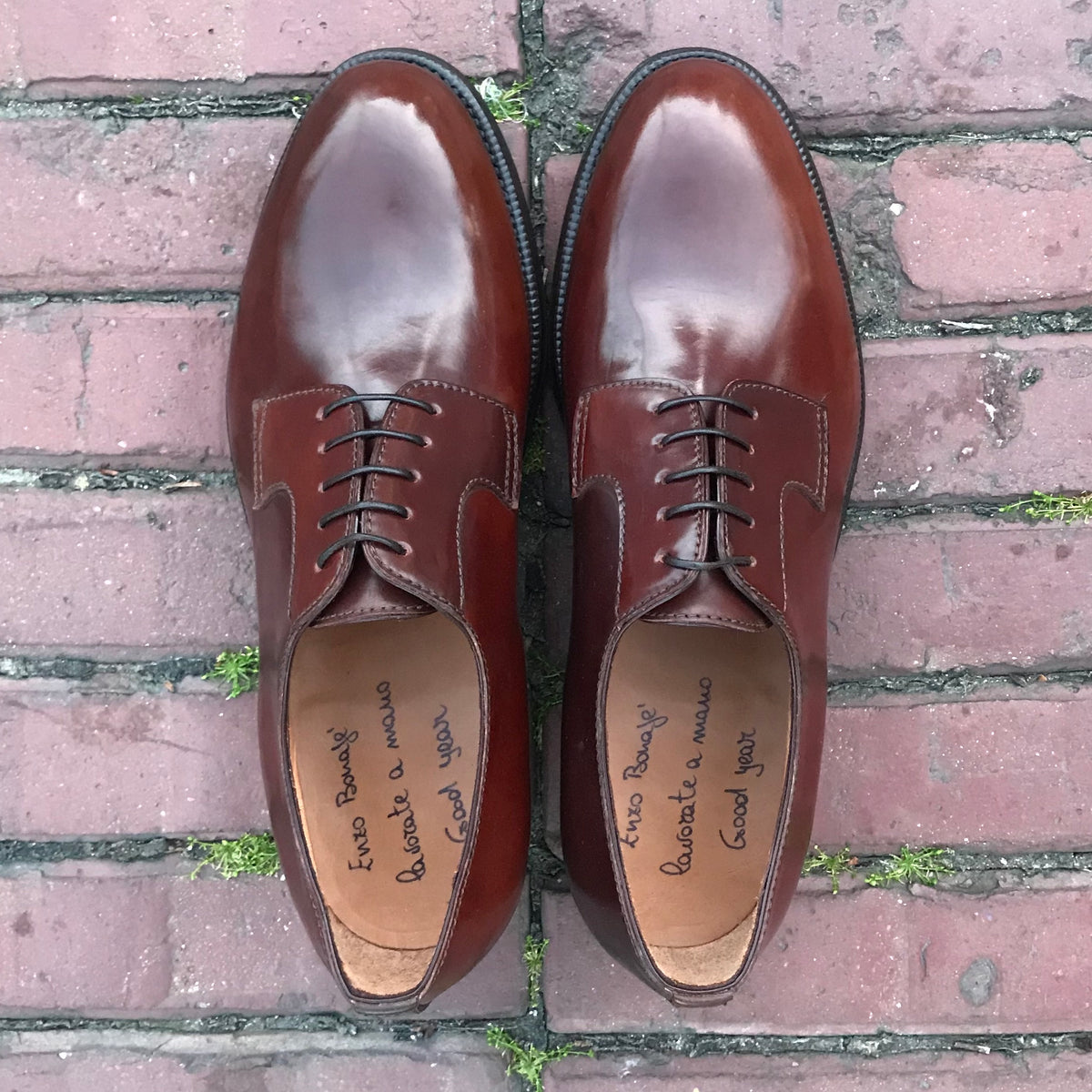 Style 2911 - Col. 4 Cordovan